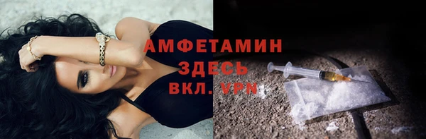 индика Мегион