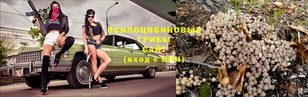 2c-b Липки