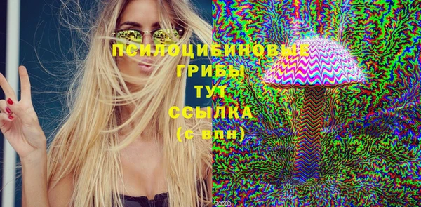 индика Мегион