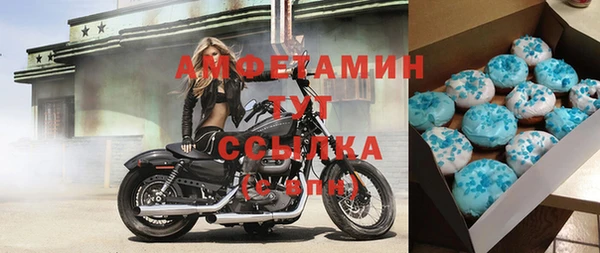 индика Мегион