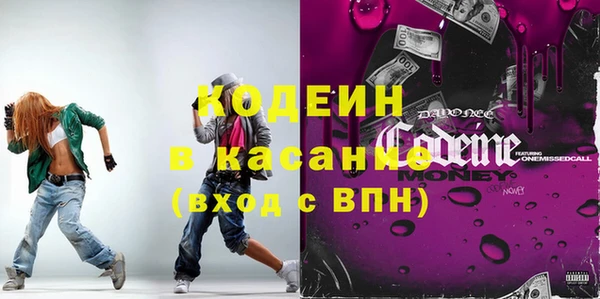 индика Мегион
