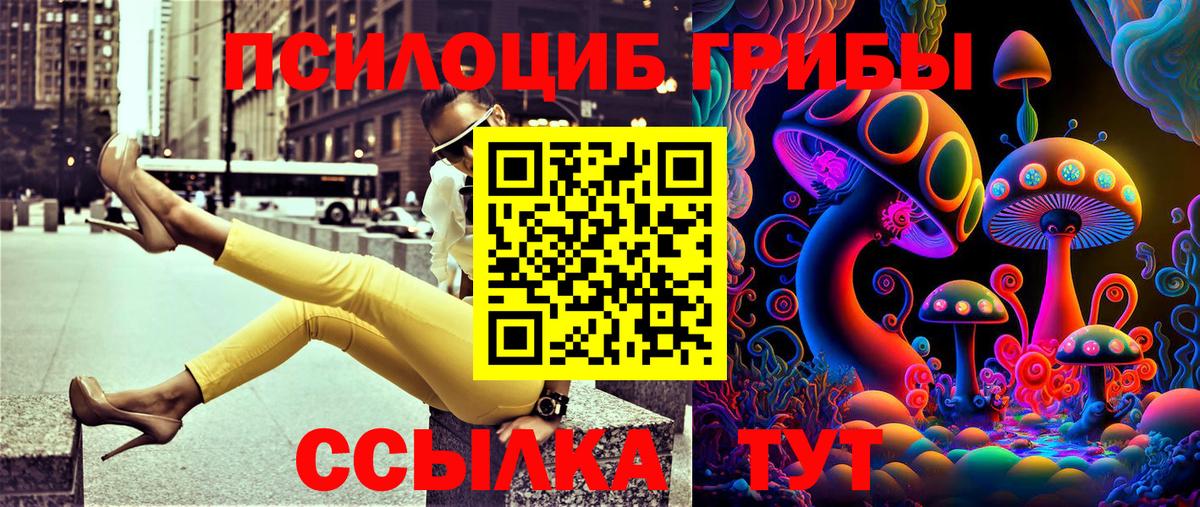 Псилоцибиновые грибы Cubensis Ухта